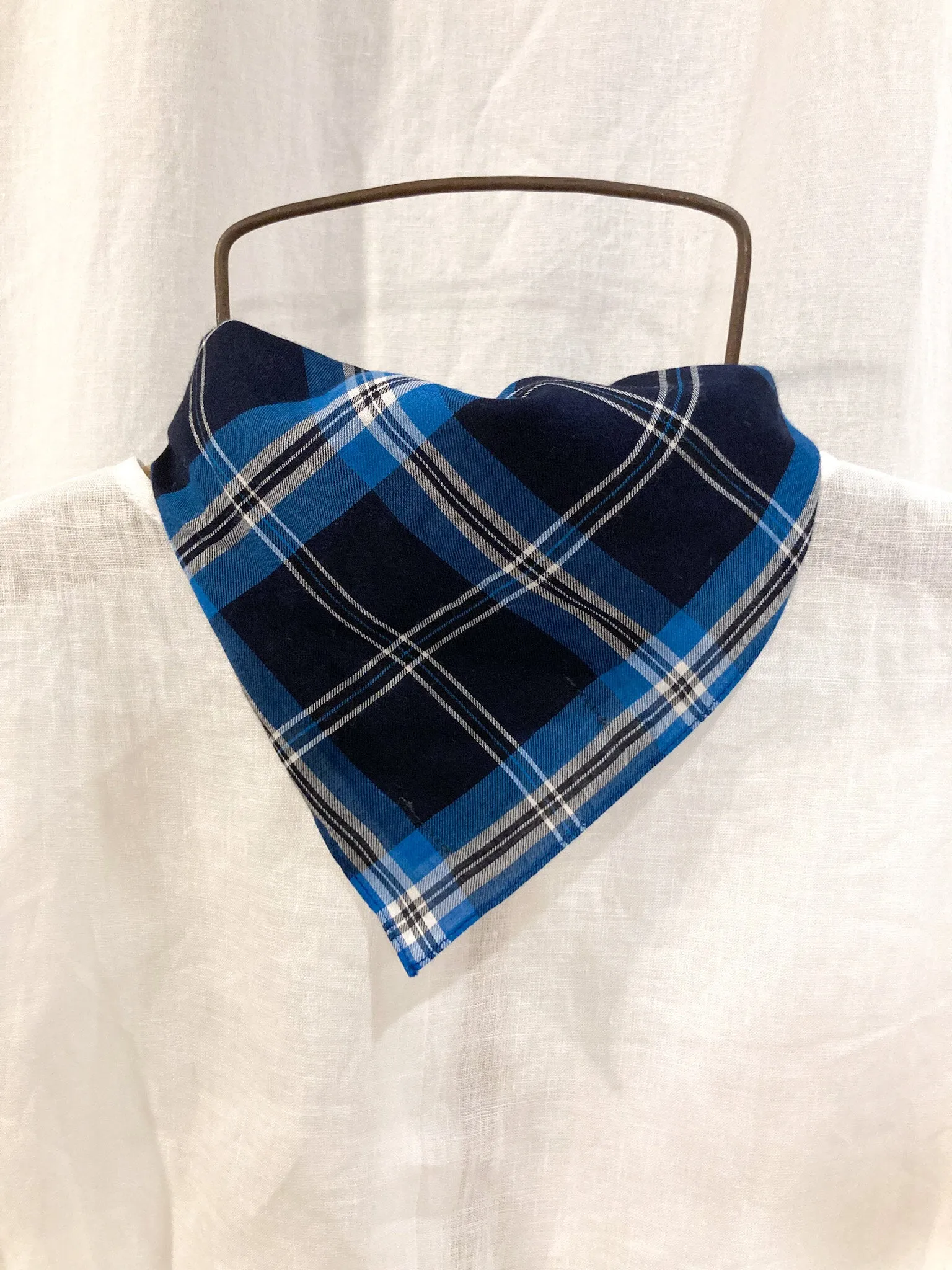 Blue Check Scarf