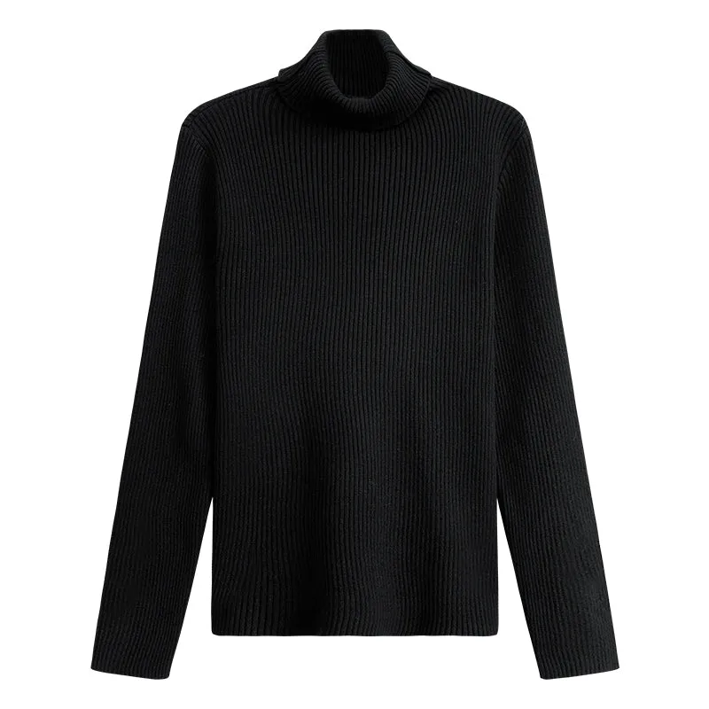 Flytonn-Korean style, Casual fashion, INS dressing, Lazy style, Graduation gift 
NO. 1170 CASUAL KNIT TURTLENECK