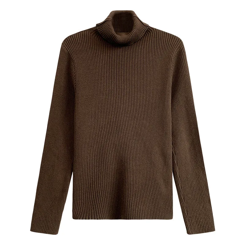 Flytonn-Korean style, Casual fashion, INS dressing, Lazy style, Graduation gift 
NO. 1170 CASUAL KNIT TURTLENECK