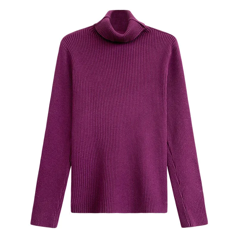 Flytonn-Korean style, Casual fashion, INS dressing, Lazy style, Graduation gift 
NO. 1170 CASUAL KNIT TURTLENECK