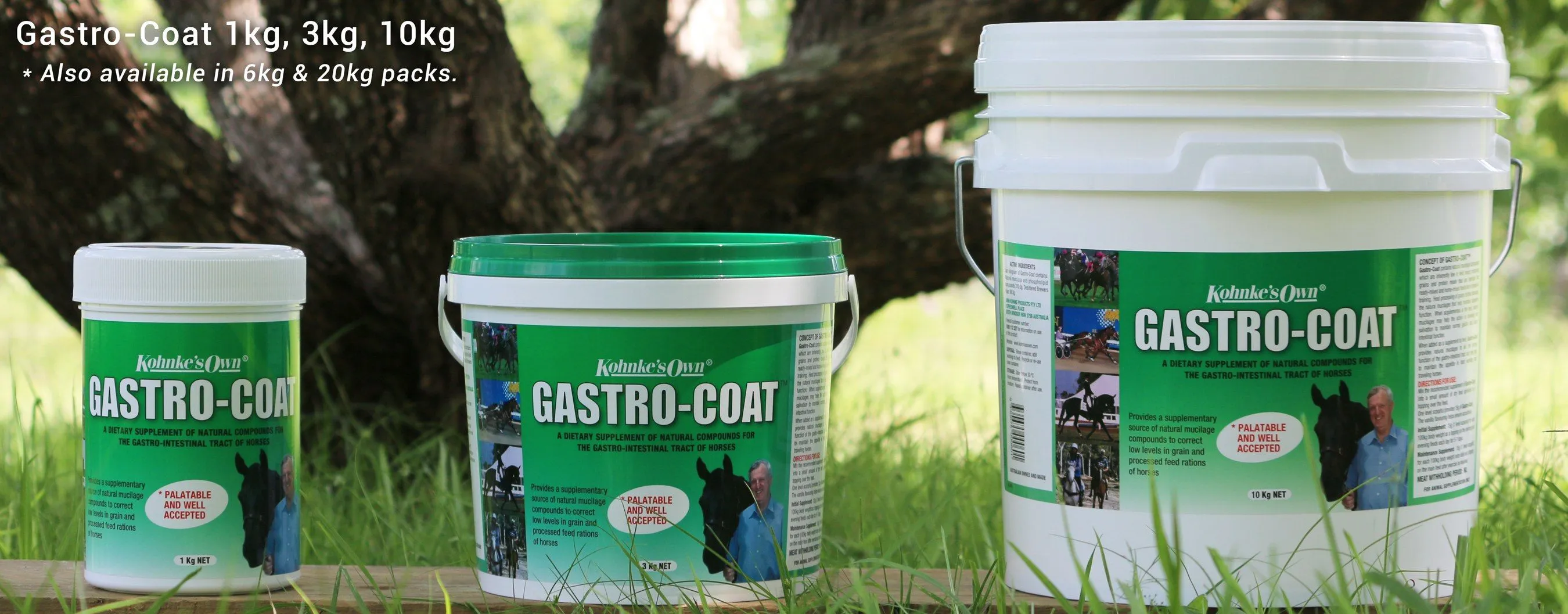 Gastro-Coat