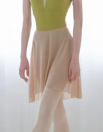 Gradient Ballet Chiffon Skirt