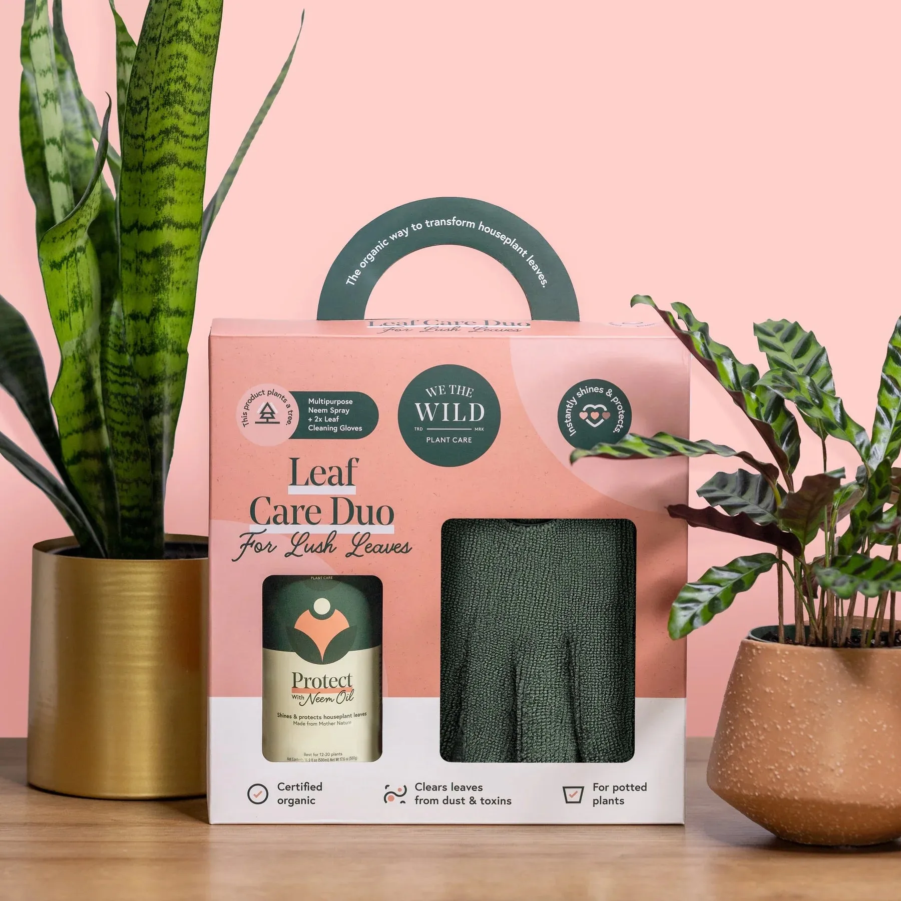 Leaf Care Duo Kit