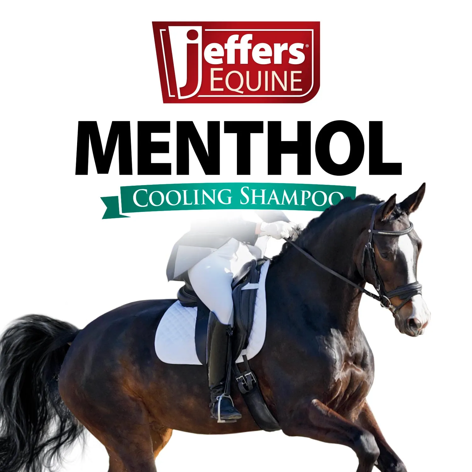 Menthol Cooling Shampoo for Horses