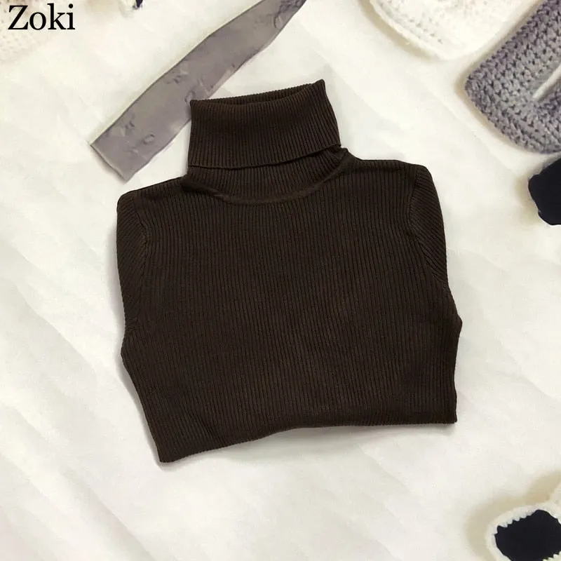 Soft Women Turtleneck Sweater Autumn Long Sleeve Elastic Female Knitted Jumper Casual Pullover Slim Winter Basic Tops