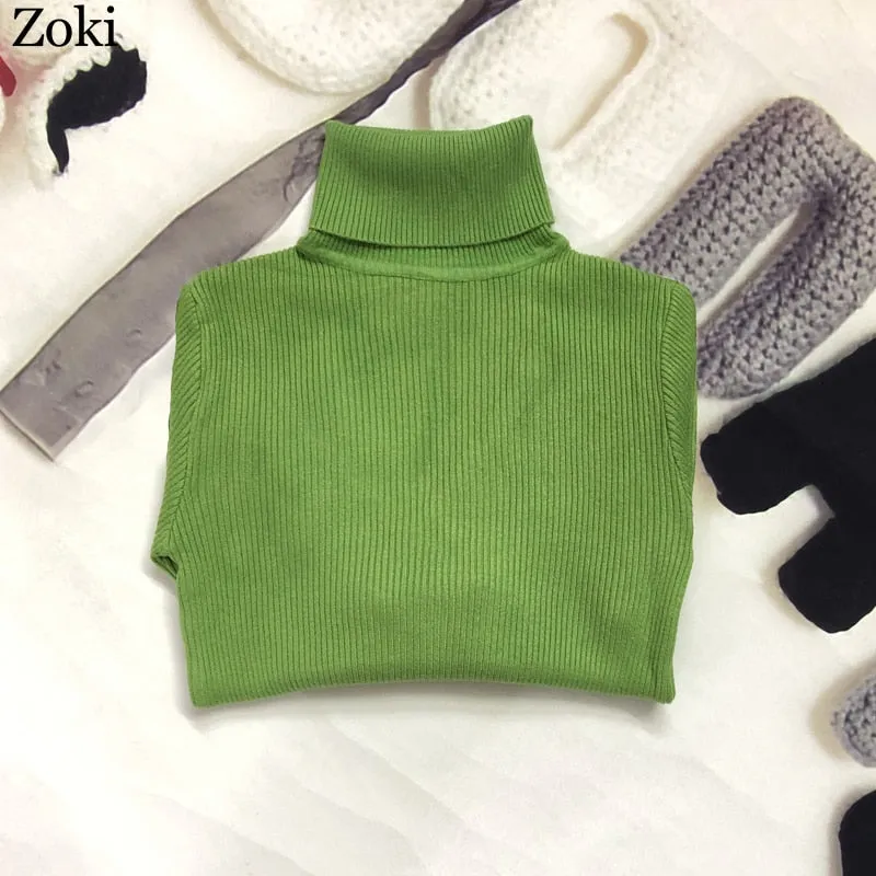 Soft Women Turtleneck Sweater Autumn Long Sleeve Elastic Female Knitted Jumper Casual Pullover Slim Winter Basic Tops