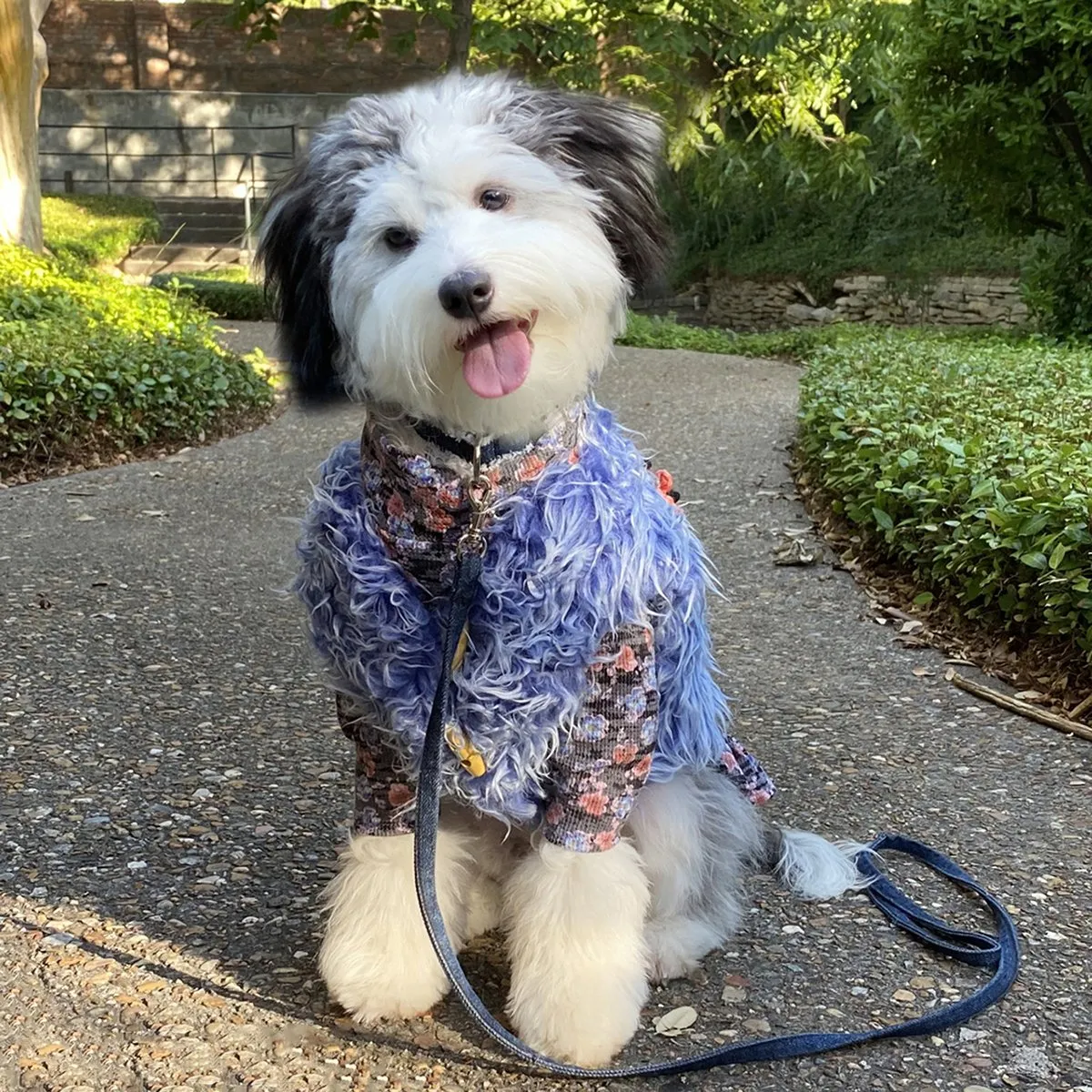 The Ethel Blue Floral Waffle Knit Dog Dress