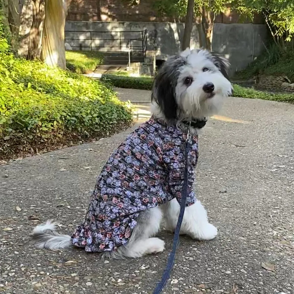 The Ethel Blue Floral Waffle Knit Dog Dress