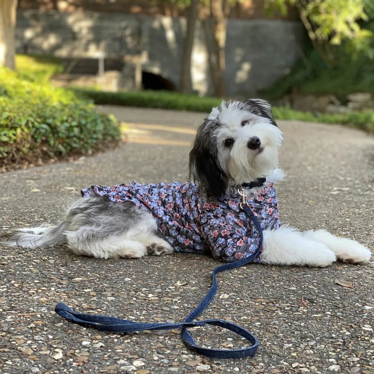 The Ethel Blue Floral Waffle Knit Dog Dress