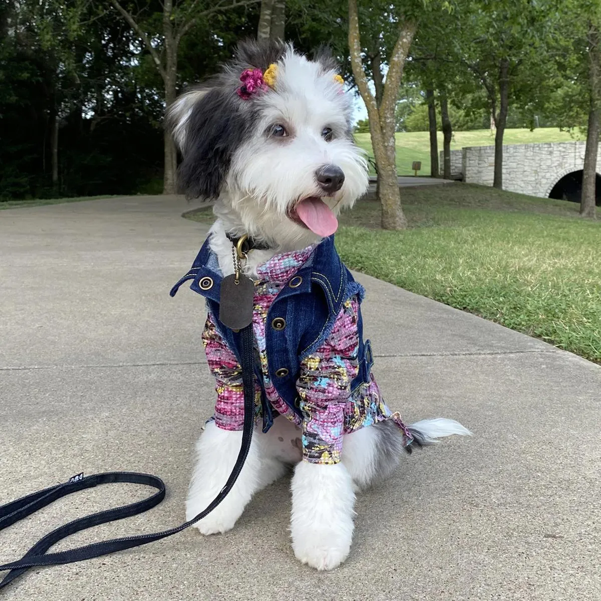 The Lucy Pink Floral Waffle Knit Dog Dress