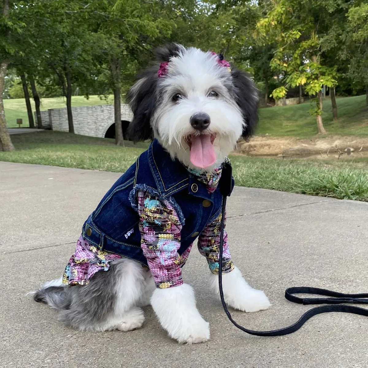 The Lucy Pink Floral Waffle Knit Dog Dress