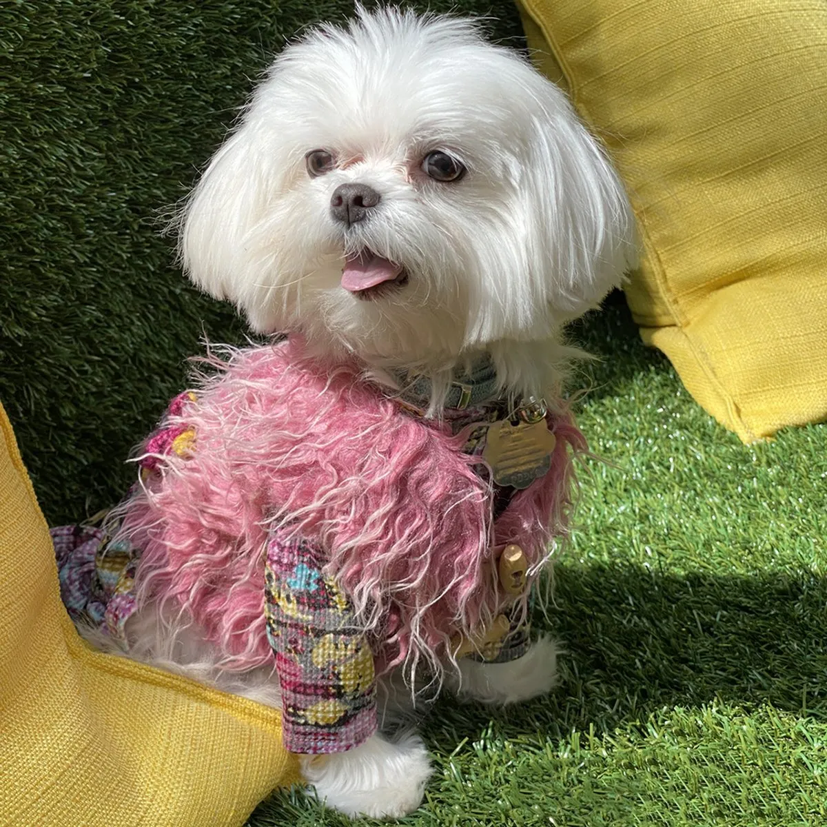 The Lucy Pink Floral Waffle Knit Dog Dress